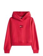 Rhine St Flag Hoodie Red Tommy Hilfiger