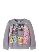 Nmfjenney Bluey Sweat Bru Sky Grey Name It