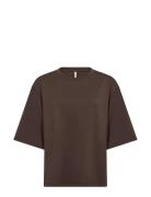 Sc-Banu Brown Soyaconcept