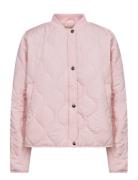 Sc-Fenya Pink Soyaconcept