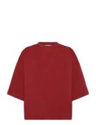 Mira T-Shirt G029 Burgundy Minimum