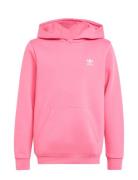 Hoodie Pink Adidas Originals