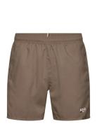 Swordfish Brown BOSS