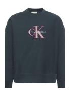 Premium Tri-Color Monologo Cn Sw Grey Calvin Klein Jeans