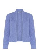 Cwceline Blue Claire Woman