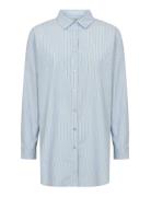 Sc-Cassy Blue Soyaconcept