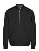 Maclay Black Matinique