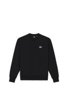 Summerdale Sweatshirt Black Dickies
