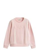 Tonal Graphic C-Neck Sweat Pink GANT