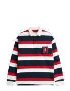 Crest Striped Rugby Patterned Tommy Hilfiger