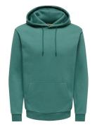 Onsceres Hoodie Sweat Noos Green ONLY & SONS