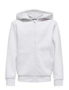 Osjceres Zip Thr. Hoodie Swt Noos Grey ONLY & SONS