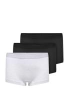 Koglola 3-Pack Logo Hipster Acc Black Kids Only