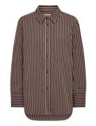 Bold Shirt Pink Stripe Brown A Part Of The Art