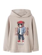 Nkmdobs Ls Nreg Sweat Wh Unb Box Grey Name It