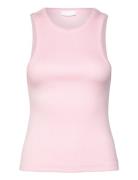 2Nd Purity Tt - Daily Cotton Rib Pink 2NDDAY