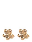 Pcthella Earstuds Plated Fp Noos Gold Pieces