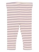 Tnsbfro Rib Leggings Purple The New