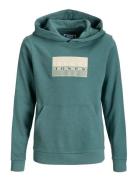 Jcofusion Graphic Sweat Hood Unb Sn Jnr Green Jack & J S