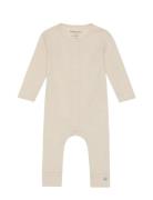 Oak Sie Cream GoBabyGo