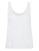 Genelliepw To Blue Part Two