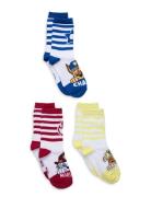 Socks White Paw Patrol