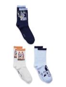 Socks Patterned Bluey