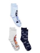 Socks Patterned Bluey