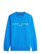 Tommy Logo Sweatshirt Blue Tommy Hilfiger