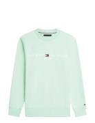 Tommy Logo Sweatshirt Green Tommy Hilfiger