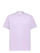 Ss Micro Logo Crewneck Tee Purple Calvin Klein
