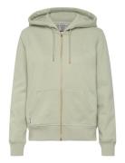 Essential Logo Ziphood Hb Green Superdry