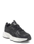 Brooke W Black Exani