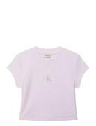 A- Monogram Baby Tee Purple Calvin Klein Jeans