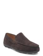 U Spherica Ec16 A Brown GEOX