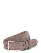 Robin Silver Saddler