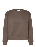 O-Neck Sweat Over Brown Enkel Studio