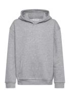Hoodie Grey Enkel Studio