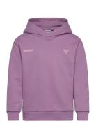 Hmljr Graphic Hoodie Purple Hummel