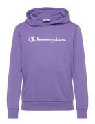 Hooded Sweatshirt Purple Champion