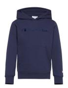 Hooded Sweatshirt Navy Champion