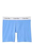 Boxer Brief Blue Calvin Klein