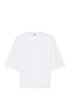 Fraurora Pu 1 White Fransa