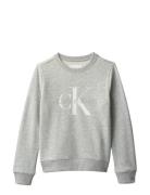 Ck Mono Logo Cn Grey Calvin Klein