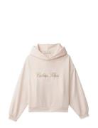 Ck Hooded Sweatshirt Pink Calvin Klein