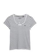 Studios Scoop Neck Tee White Superdry