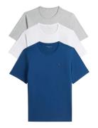 3P Ss Tee Patterned Tommy Hilfiger