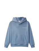 Relaxed Back Aw Hoodie Blue Calvin Klein