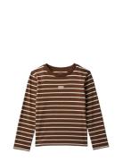 Yd Stripe L/S T-Shirt Brown Calvin Klein