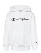 Hooded Sweatshirt White Champion